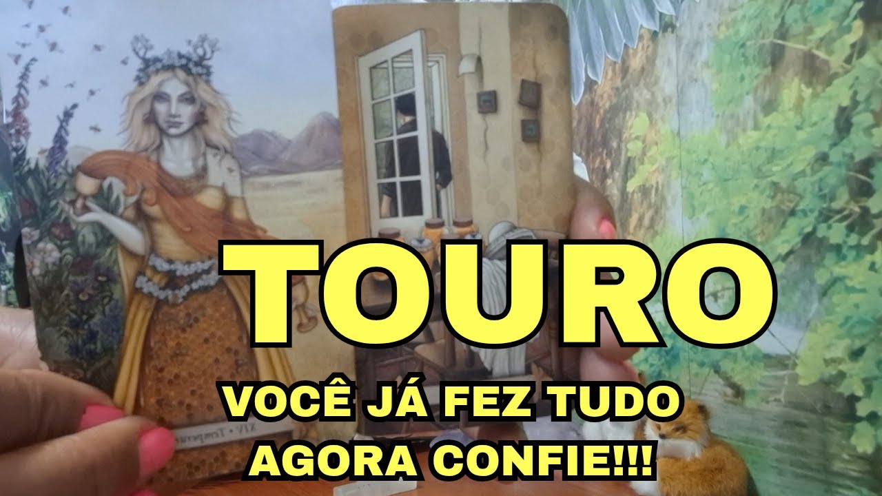 TOURO🔥VOCÊ JA SABE...PARE DE SE ENGANAR.