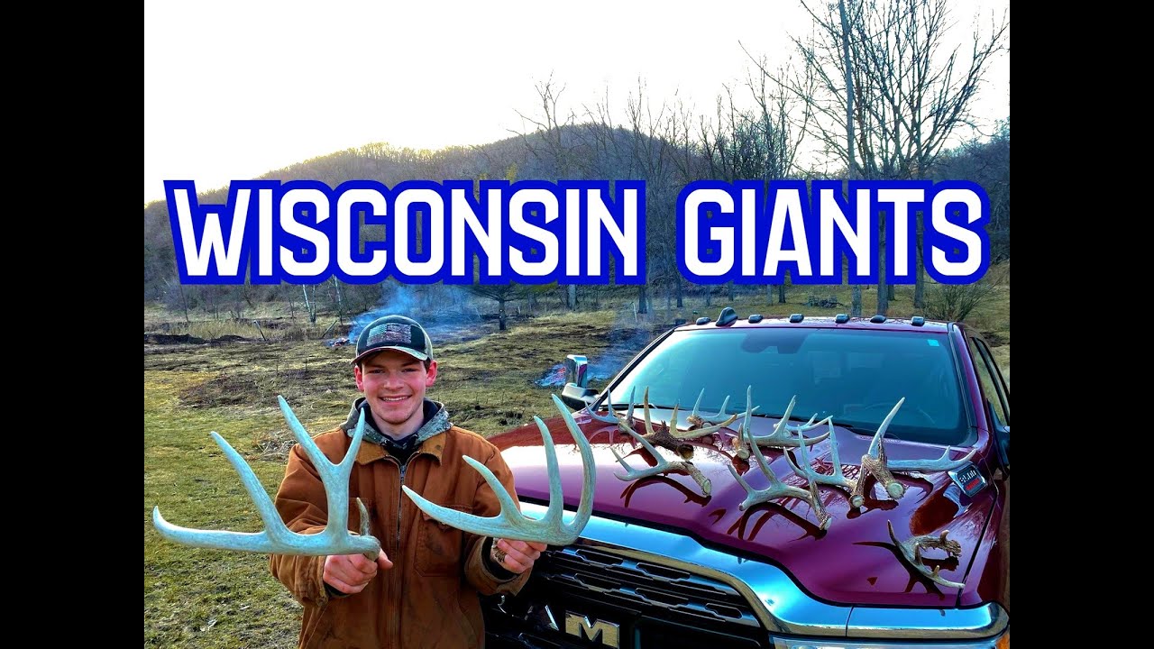 HUGE ANTLERS! WISCONSIN Shed Hunting 2022