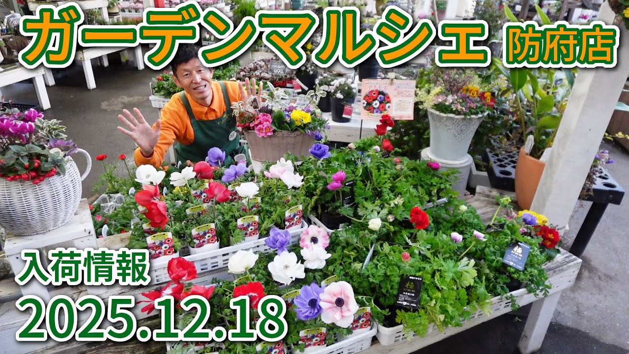 2025年12月18日 ガーデンマルシェ防府店 今週の入荷情報