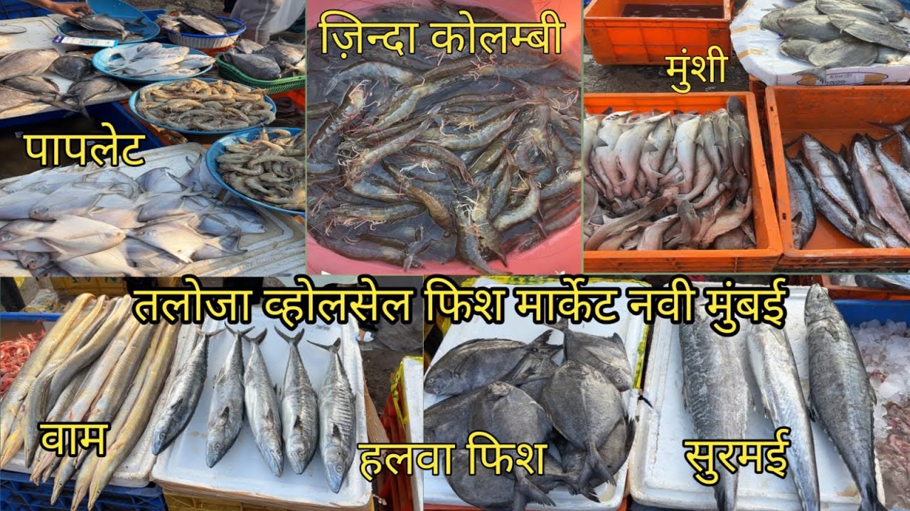 Fish Market Taloja  Wholesale Fish Market | Navi Mumbai Fish Market |