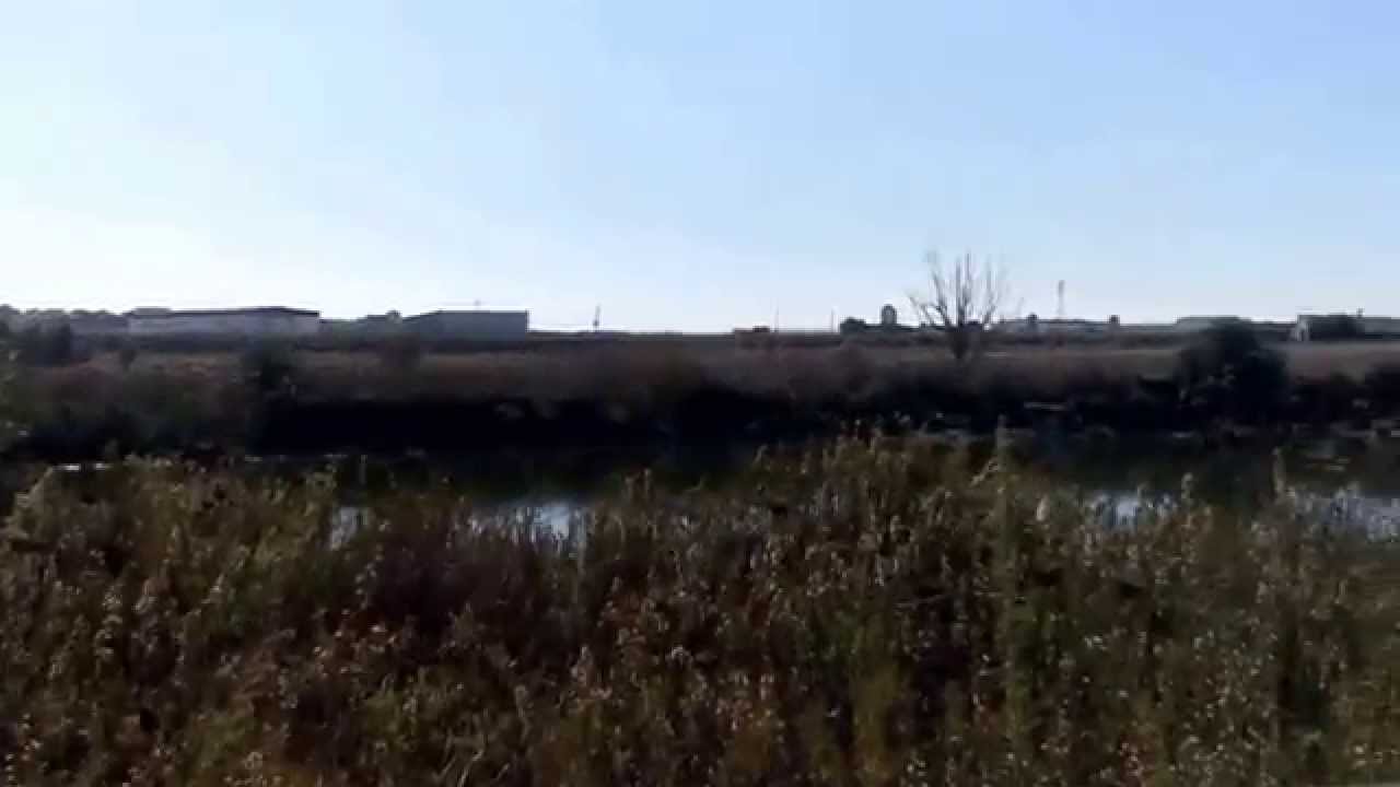 Laguna del Gobierno // Año 2014
