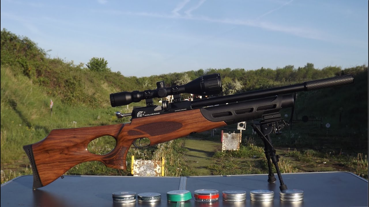 The Daystate Wolverine   Accuracy and pellet tests at 50 yards
