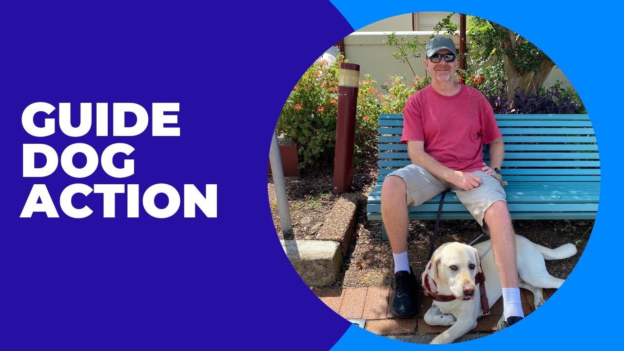 Can York Find Kerry?   Guide Dog Action