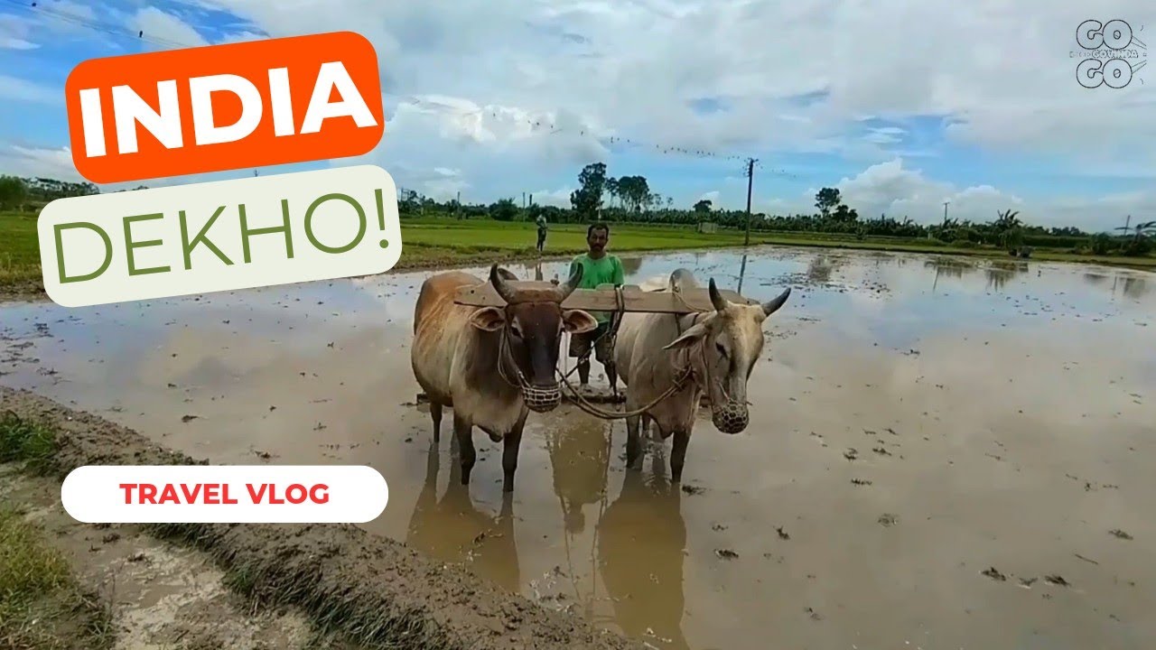 Beautiful Village in North 24 Parganas | Farming, Harvest & Farmer’s Life in Rural Bengal 🌾🚜