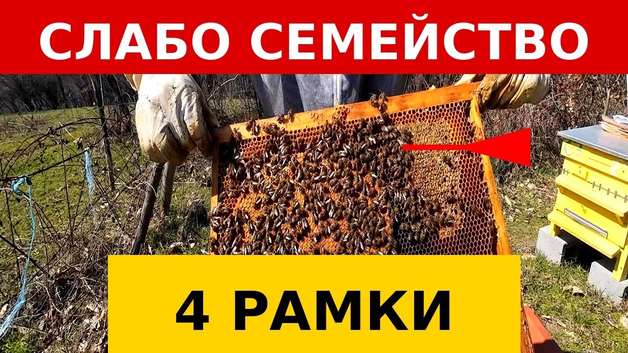 Стесняване на слабите семейства