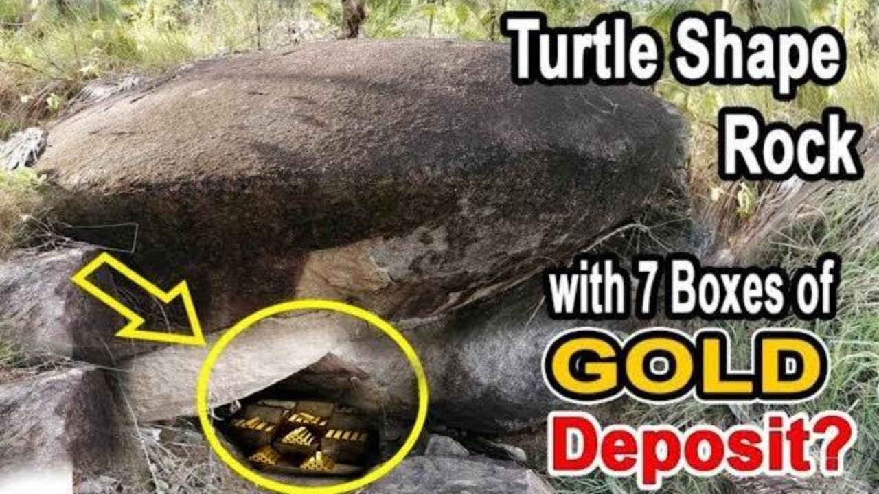 Turtle Shape Rock with 7 Boxes of Gold Deposit?