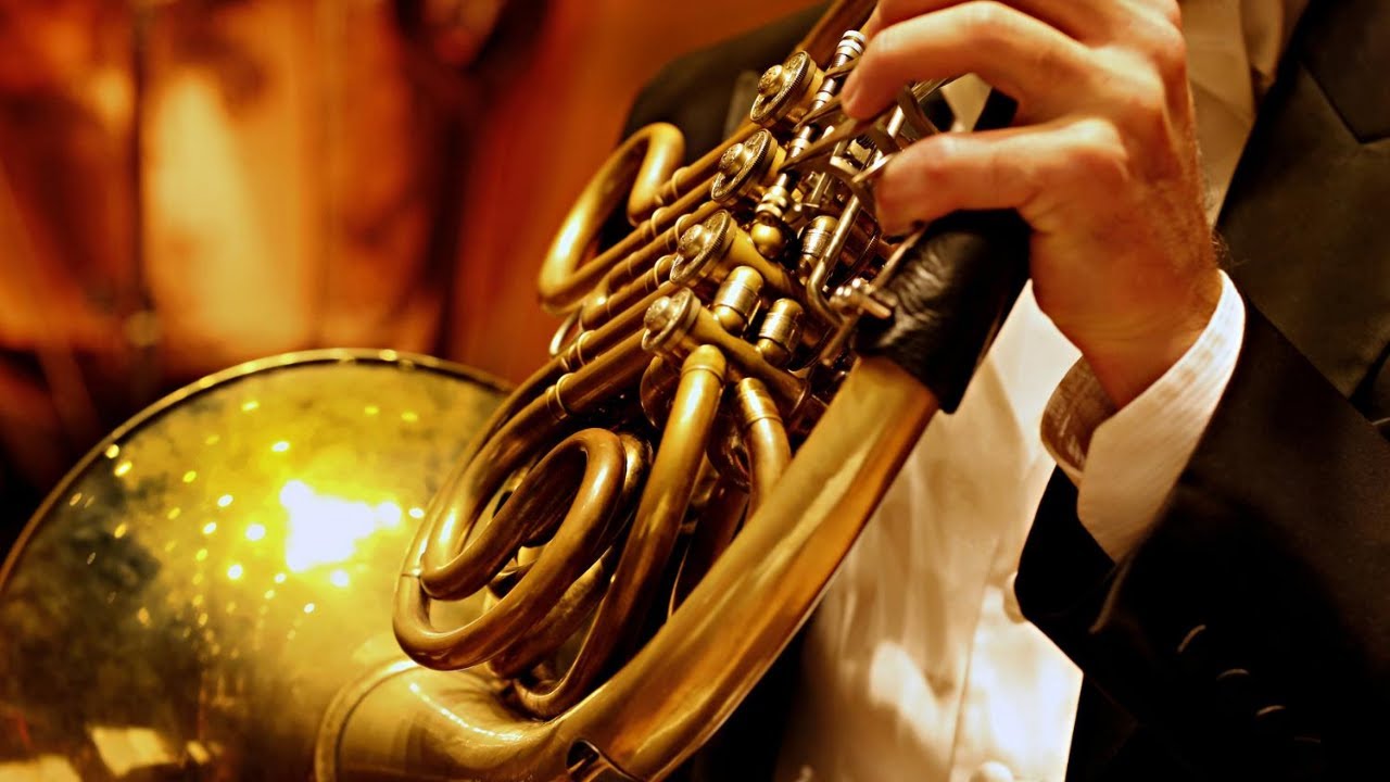 This is a seat | Buffalo Philharmonic Orchestra