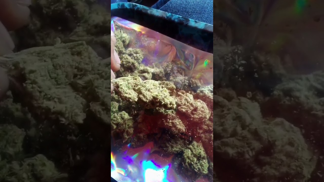 SMOKING ON LIME SKUNK OG😶&zwj;🌫️💨💨💨