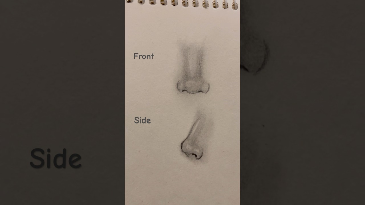 How to draw nose 👃🏻