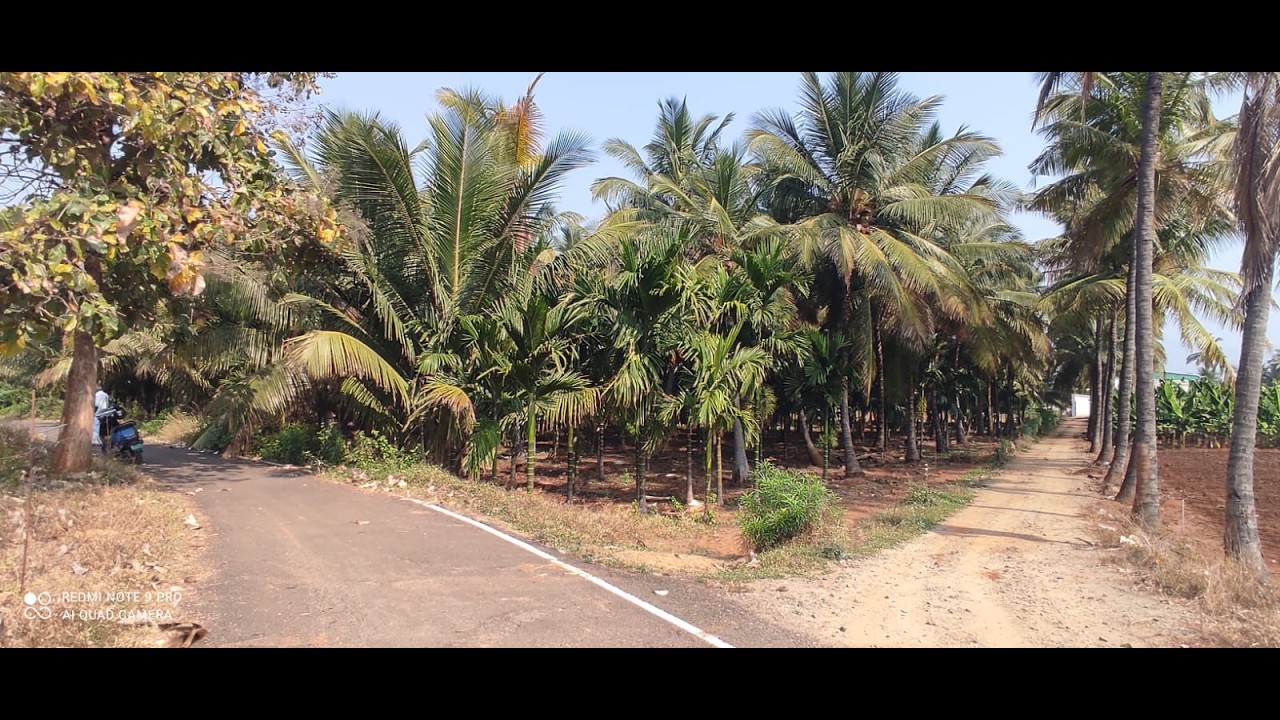 COIMBATORE SIRUVANI ROAD SENNANUR Coconut Grove 2-AGRI LAND SALE  1 AGRE Rs-2 1/2 CROSS NEGOTIABLE