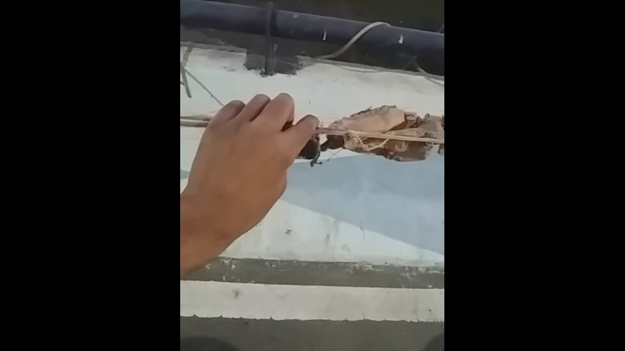 Accident by kite's String