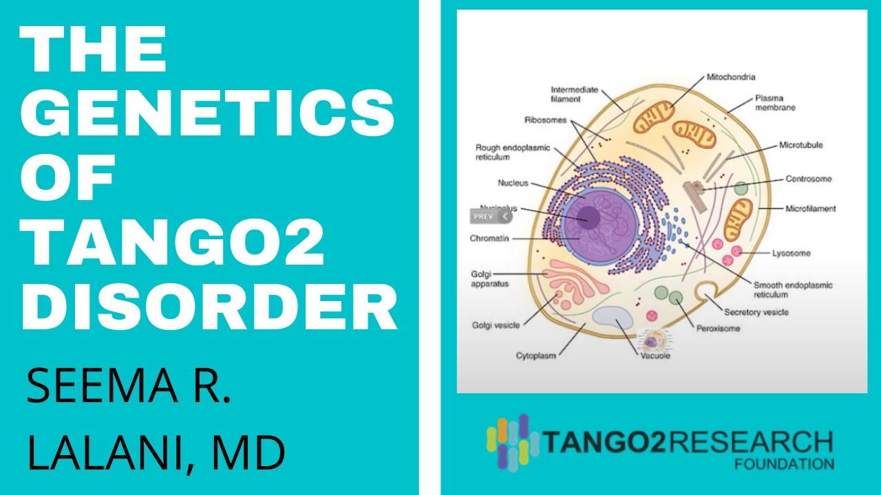 The Genetics of TANGO2 disorder - Dr. Seema R. Lalani / TANGO2 Family Conference