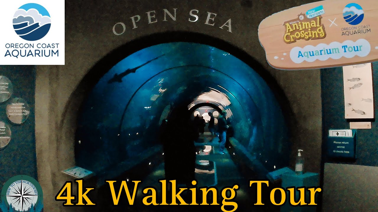 4k Oregon Coast Aquarium Tour with Animal Crossing