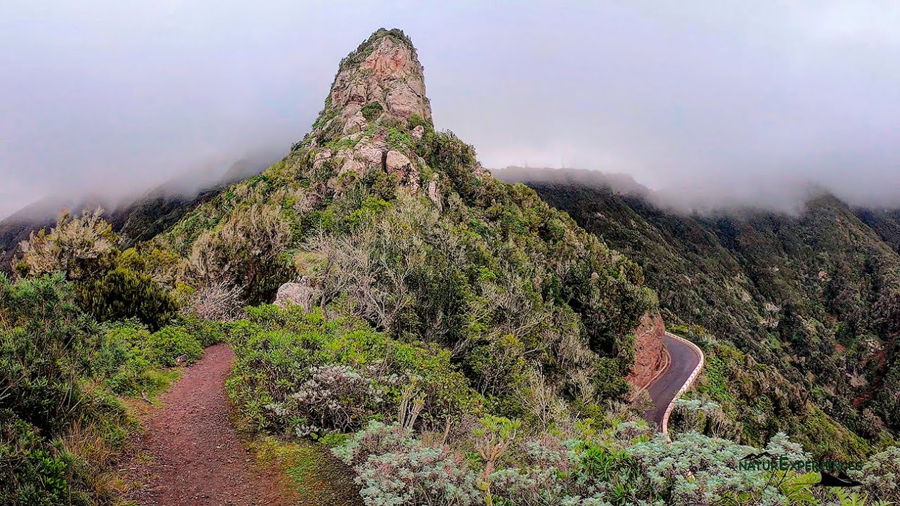 Ruta El Bailadero - Taganana, Tenerife en 4K