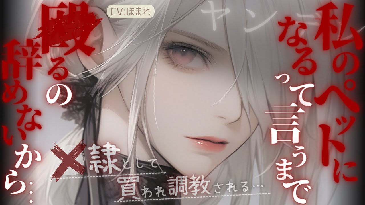 【女性優位/ﾔﾝﾃﾞﾚ】貞◯逆転世界で◯隷として買われて身も心も調教される…【ASMR/男性向け/シチュエーションボイス】