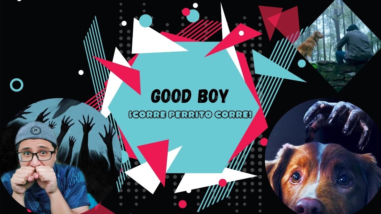 Good Boy: INDY (el perrito) va al ÓSCAR...¡NO es BROMA!