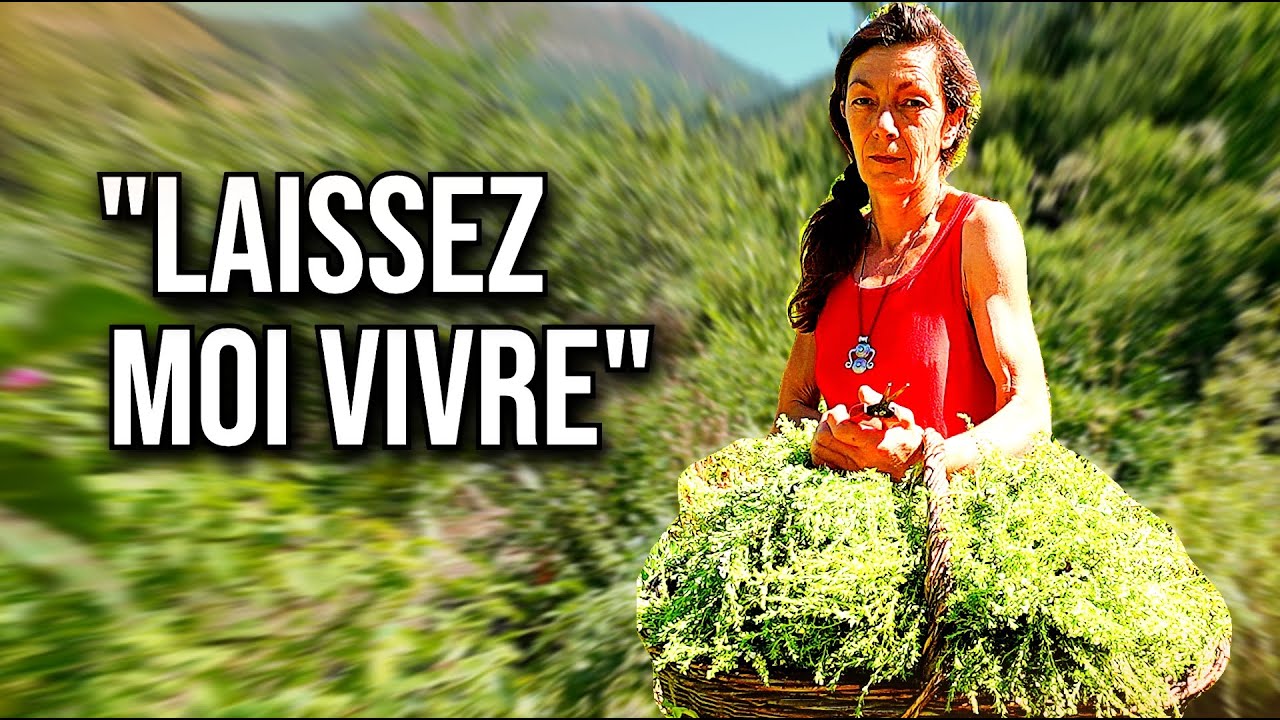 Seule, elle crée son paradis comestible au milieu des montagnes ! - Le Jeune Paysan