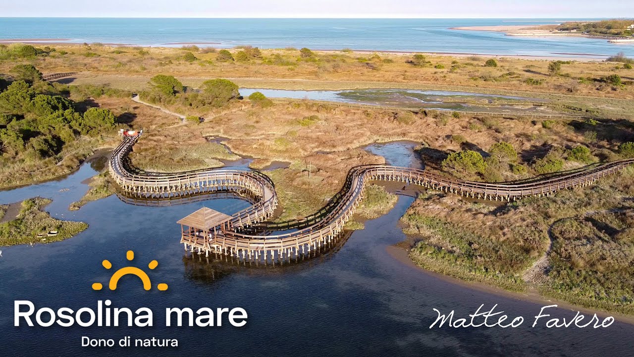 Rosolina Mare | Oasi tra Spiaggia e Pineta nel cuore del Veneto | Matteo Favero