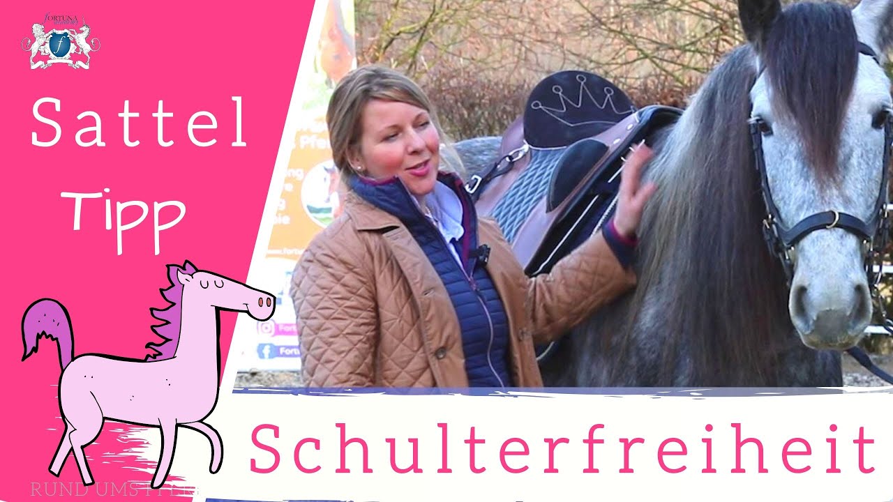 ⭐️ Schulterfreiheit beim Pferd ⭐️🐎- Wie Du das bei Deinem Sattel prüfen kannst