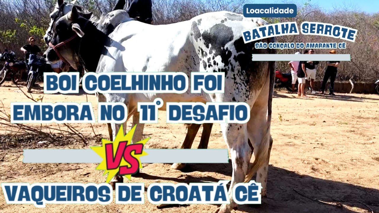 11° carreira boi coelhinho e a 5° pega de boi no mato Bar encontro dos amigos Loc.Batalha serrote cê