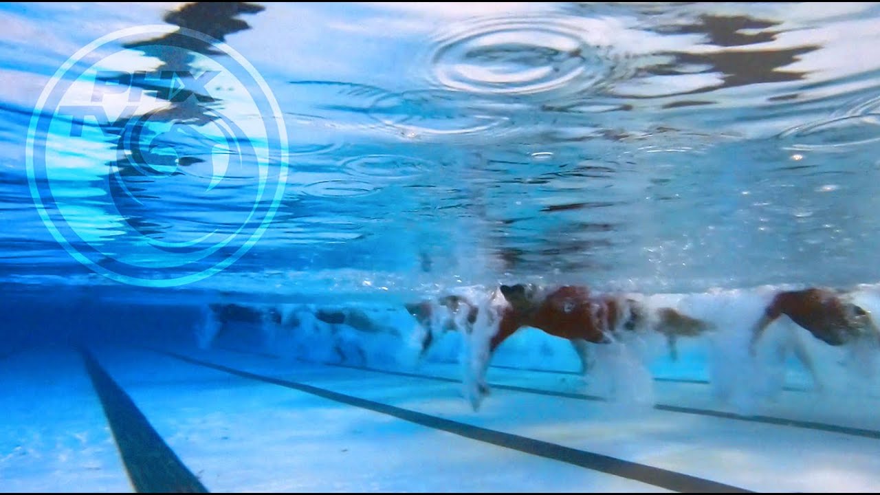 Polar Plunge for Lifeguard Recruitment | Phoenix Parks and Recreation Department