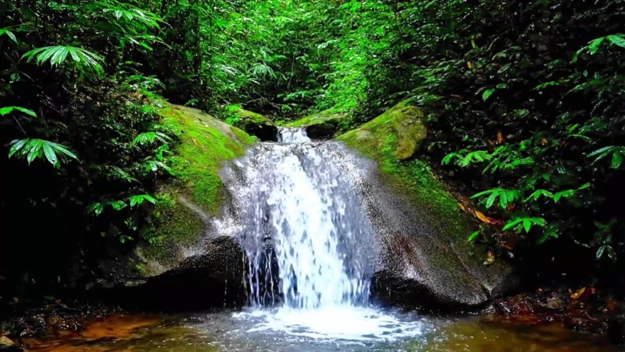 REAL RIVER STREAM SOUNDS FOR SLEEPING, RELAXATION, STUDY AND INSOMNIA RELIEF | NATURE AMBIENCE