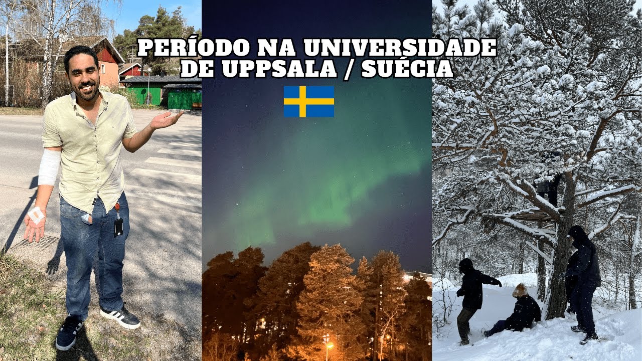 Como foi minha experiência na Suécia? | Vida Acadêmica