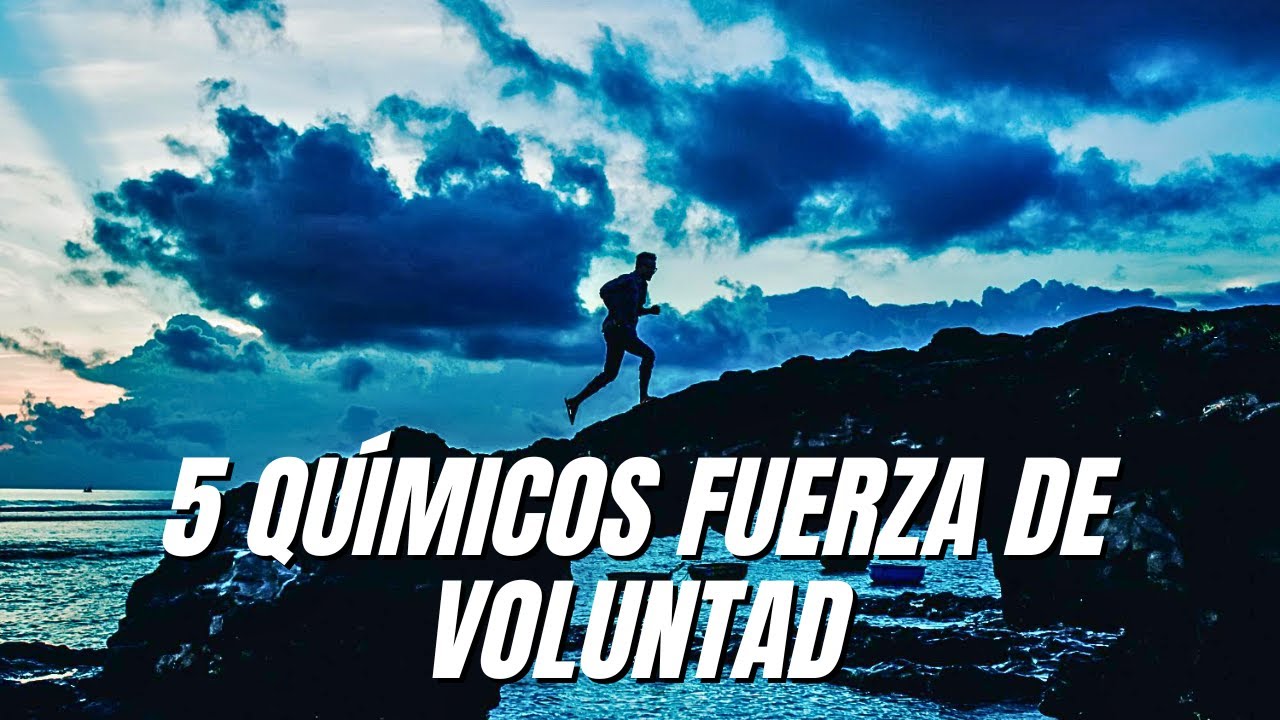 Los 5 Químicos Cerebrales que Controlan Tu Fuerza de Voluntad (Y Cómo Activarlos)