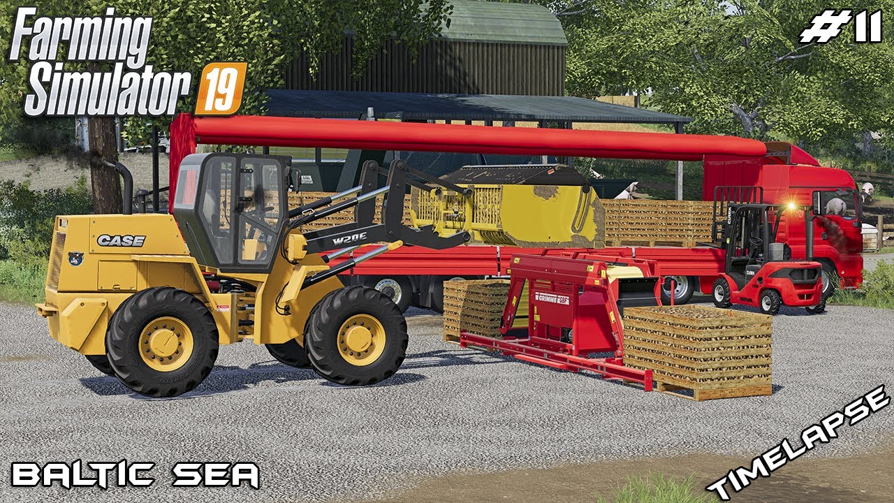 Making potato pallets & washing potatoes | Animals on Baltic Sea | Farming Simulator 19 | Episode 11