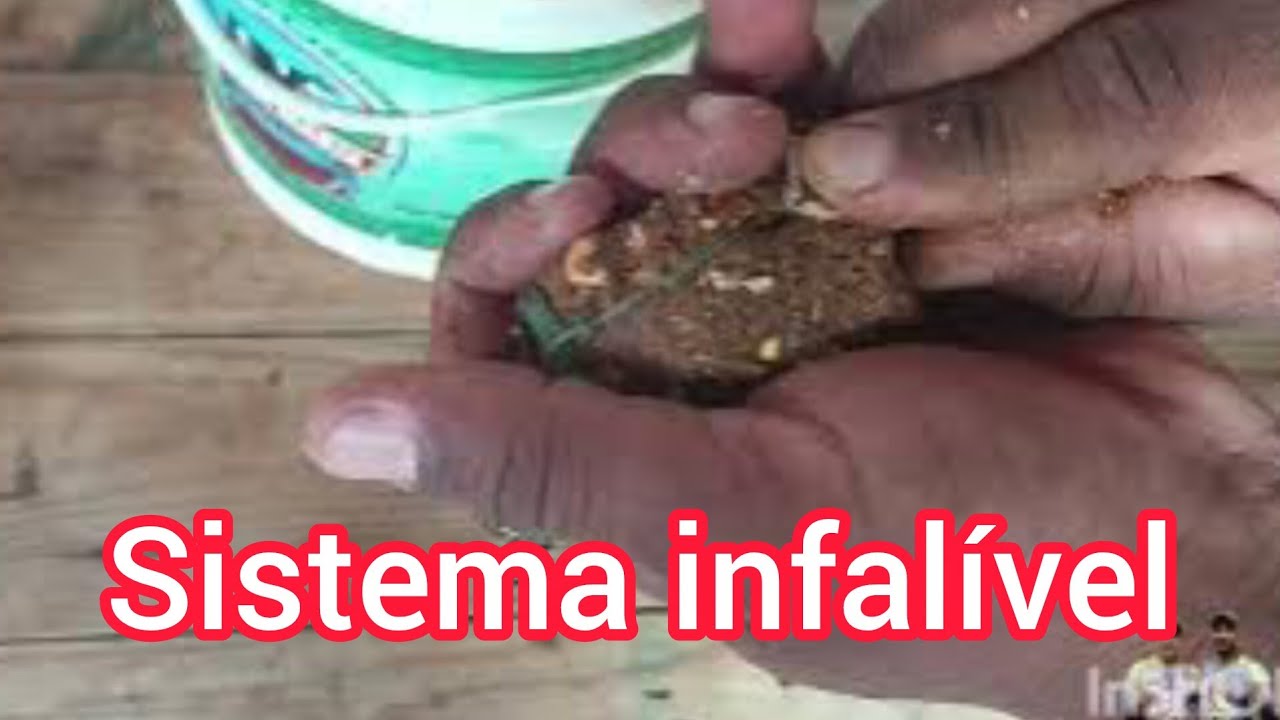 como colocar massa no chuveirinho, pesca  curimba, pacu e tambaqui .@peixinhopescadorevovobruti5615