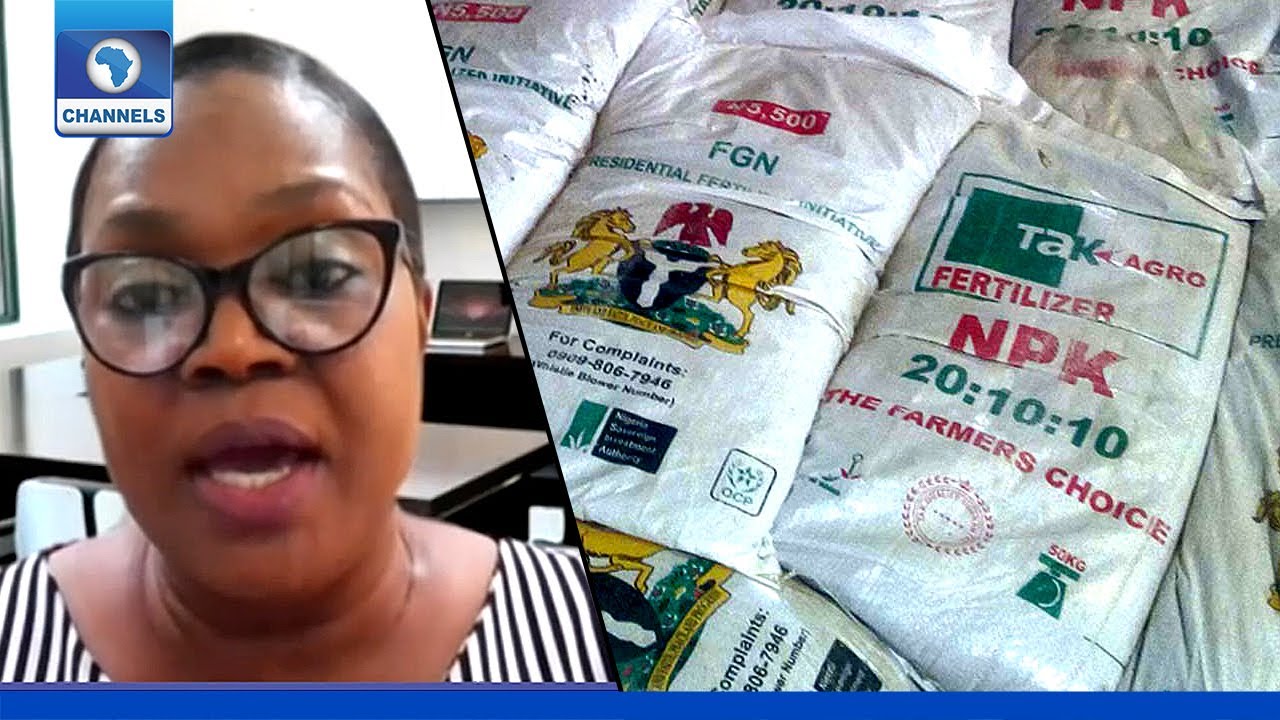 How Dangote's Plant Will Impact Nigeria's Fertilizer Industry - Analyst