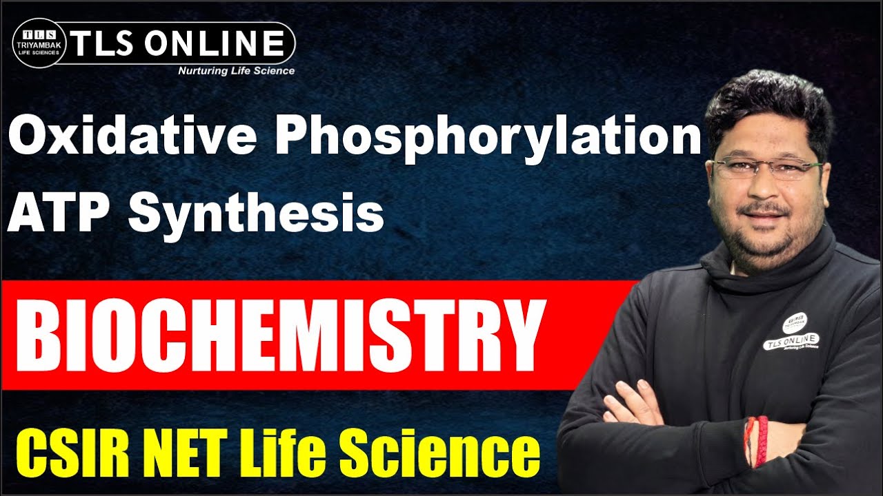 Oxidative Phosphorylation ATP Synthesis | Biochemistry | CSIR NET Life Sciences | Electron Transport