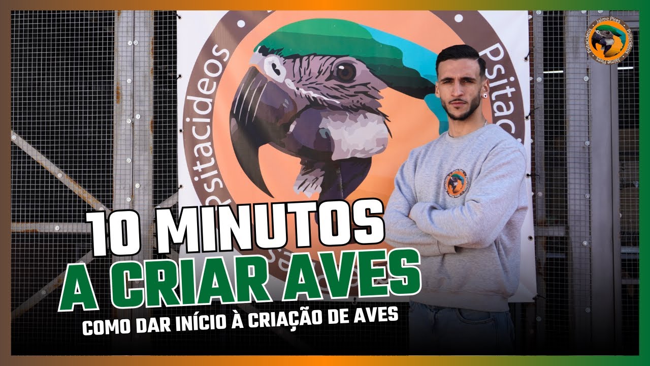 Como dar início à CRIAÇÃO DE AVES EXÓTICAS: DICAS em apenas 10 minutos