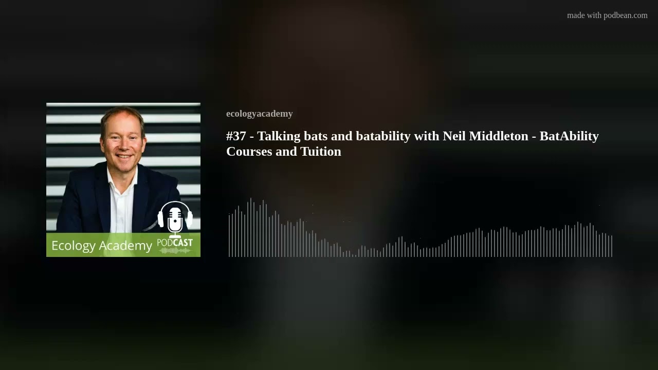#37 - How to train your bat, with Neil Middleton - BatAbility Courses and Tuition