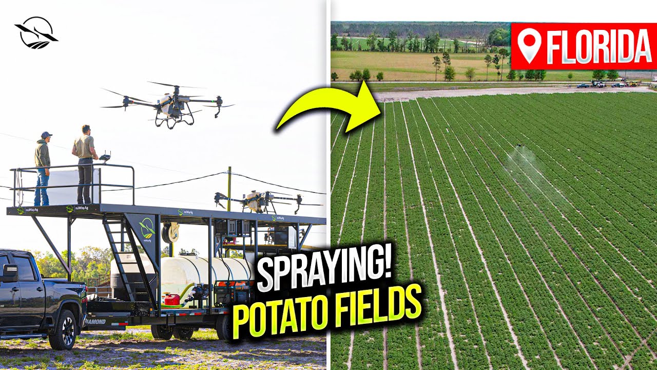 Drones Spray Florida Potatoes ￼