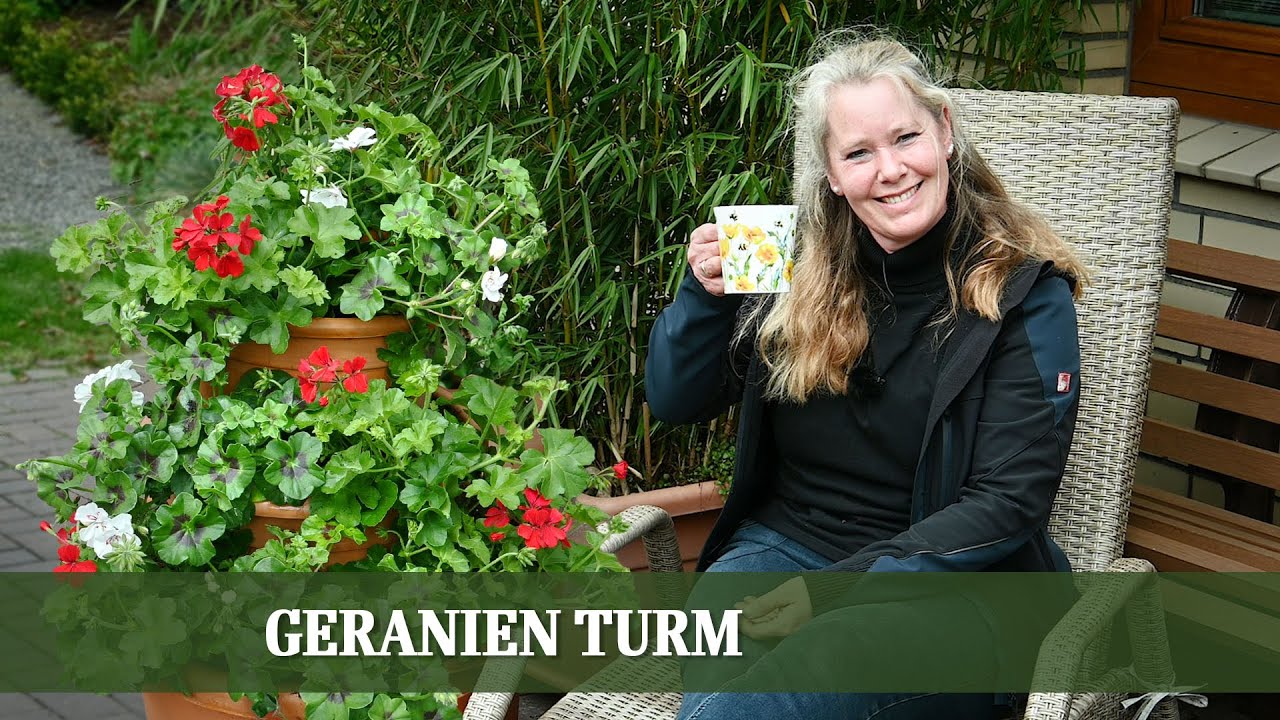 Geranien Turm - eine schöne Kübelbepflanzung für Terrasse oder Hauseingang