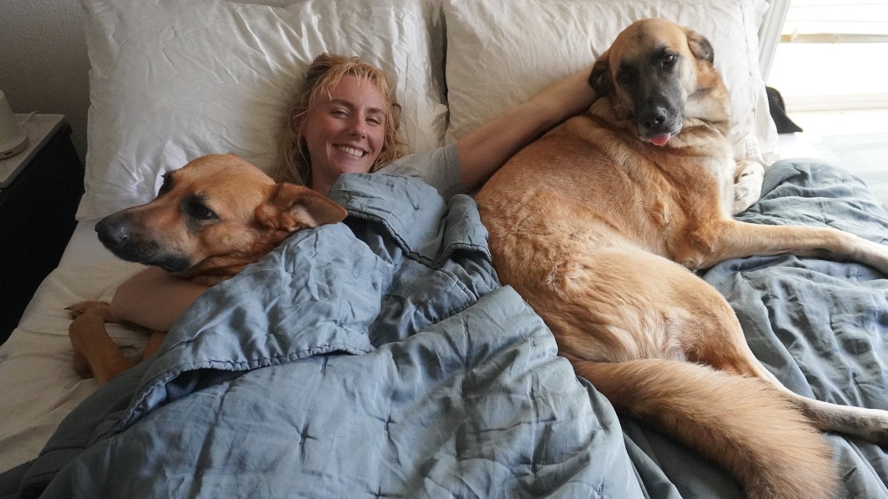 SHARING MY BED WITH A FARM DOG
