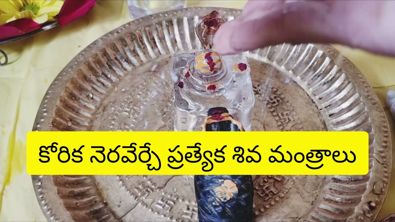 మహాశివరాత్రి మంత్రాలు – ధనం, ఉద్యోగం, అప్పుల నివారణ ఒక నామం జీవితం మార్చేస్తుంది#mahashivaratri 