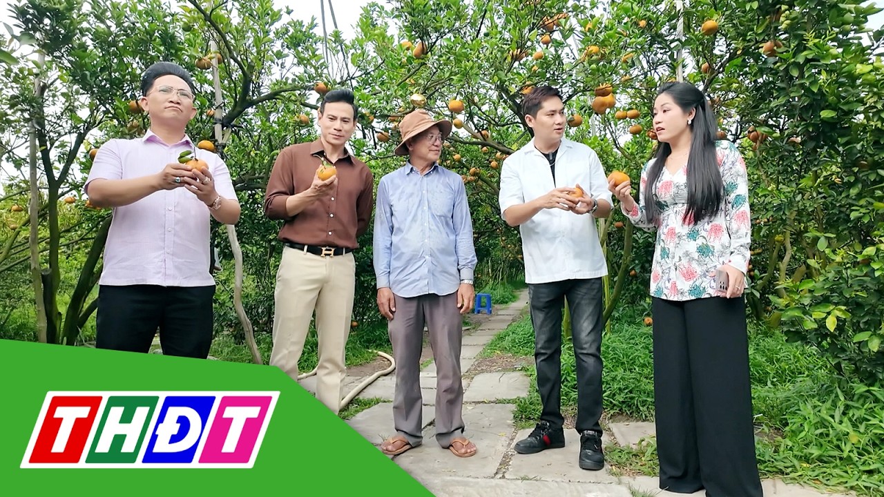 Ngọc Đế vi hành | Tập 3: Sắc hương quýt hồng Lai Vung, Đồng Tháp | THDT
