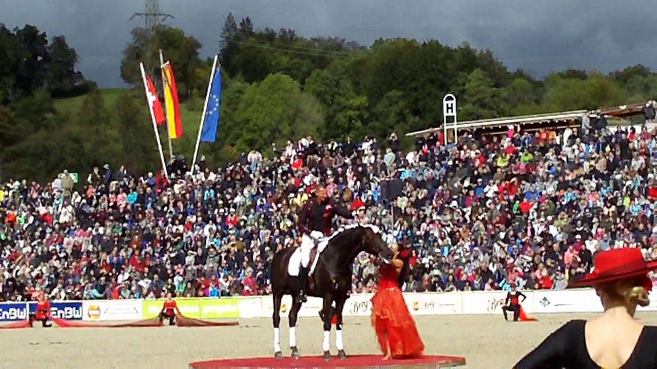 Hengstparade 2019