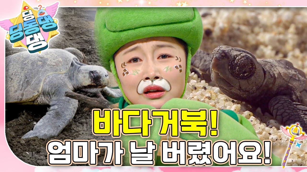 아기 바다거북 꼬북이가 화가 잔뜩 난 채 동물병원에 찾아왔어요! 🐢ㅣ딩동댕 딩동댕ㅣ바다거북! 엄마가 날 버렸어요!