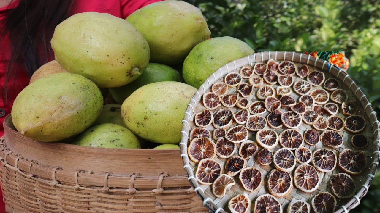 Cara Membuat Lemon Kering dari hasil Panen di kebun sendiri ~ Endang Mengge