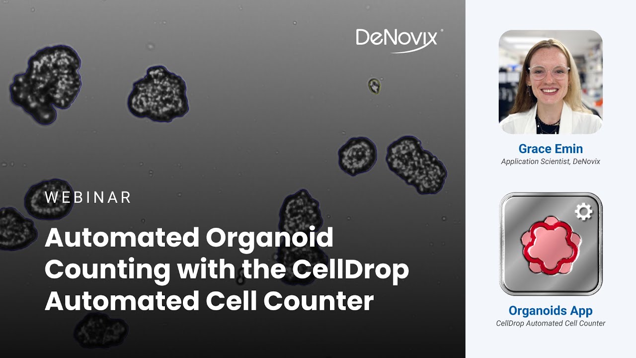 Webinar | Automated Organoid Counting with the DeNovix CellDrop Automated Cell Counter