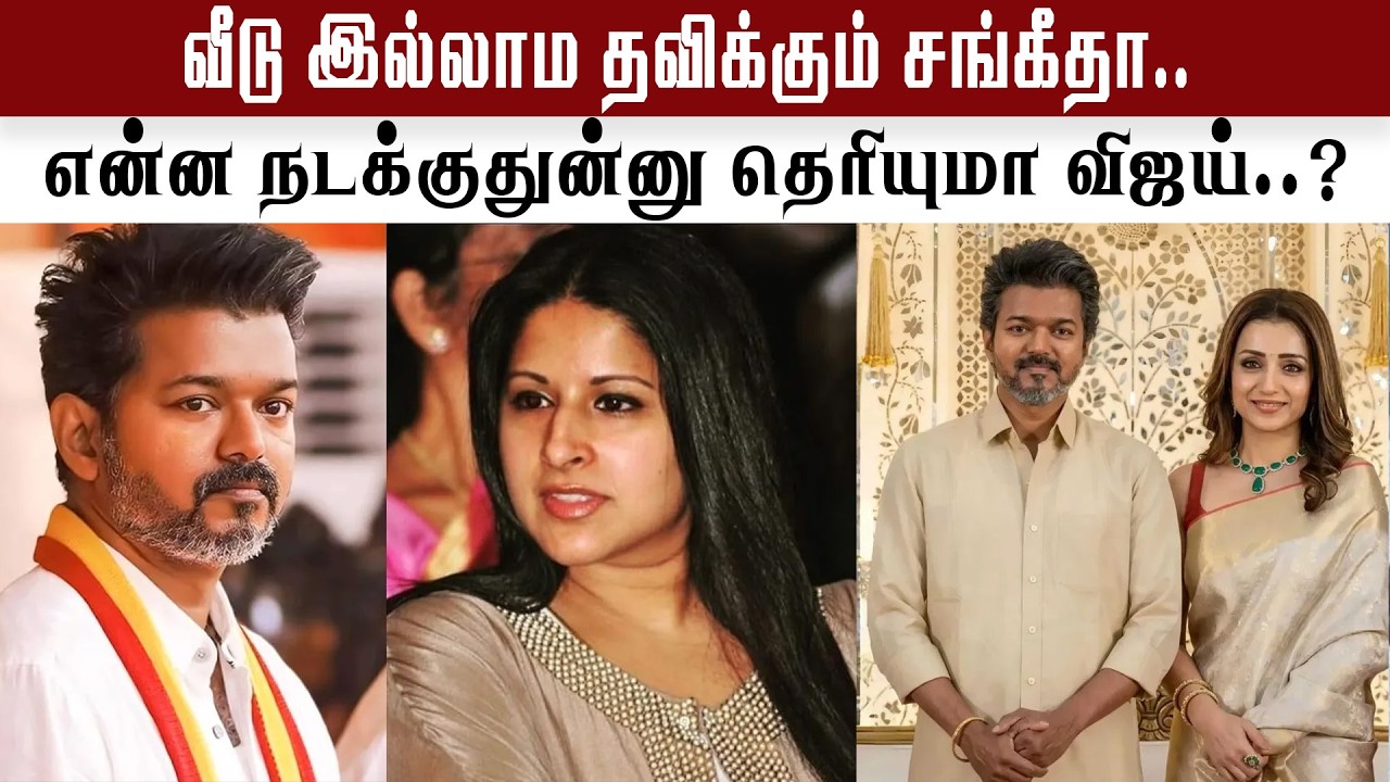 விஜய் லைப்ல என்ன நடக்குதுன்னு தெரியுமா? | Vijay | Trisha | TVK |