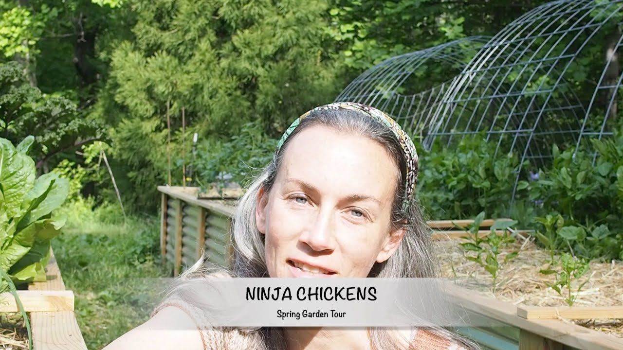Spring Garden Tour - Ninja Chickens