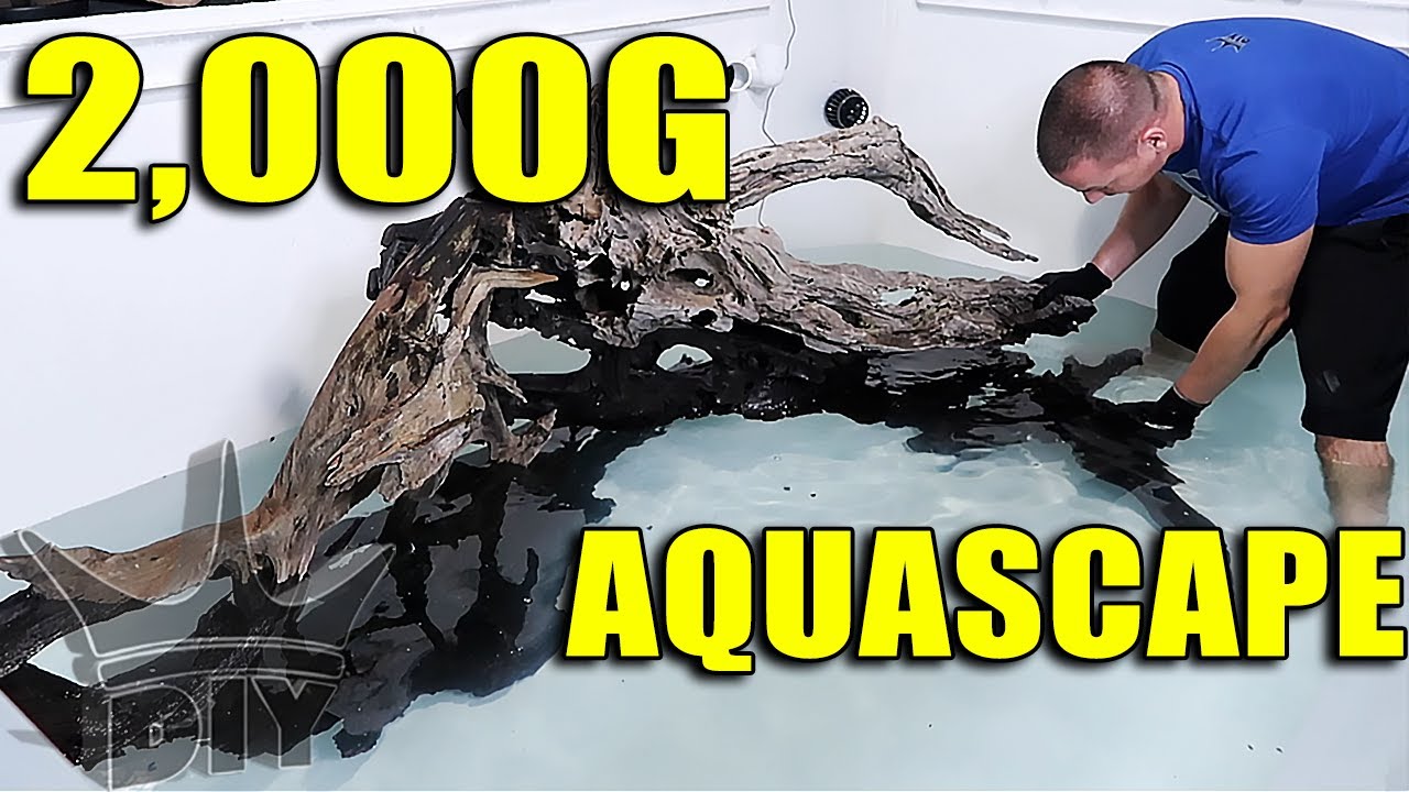 AQUARIUM AQUASCAPE - 2,000 GALLON FISH TANK SCAPE!!
