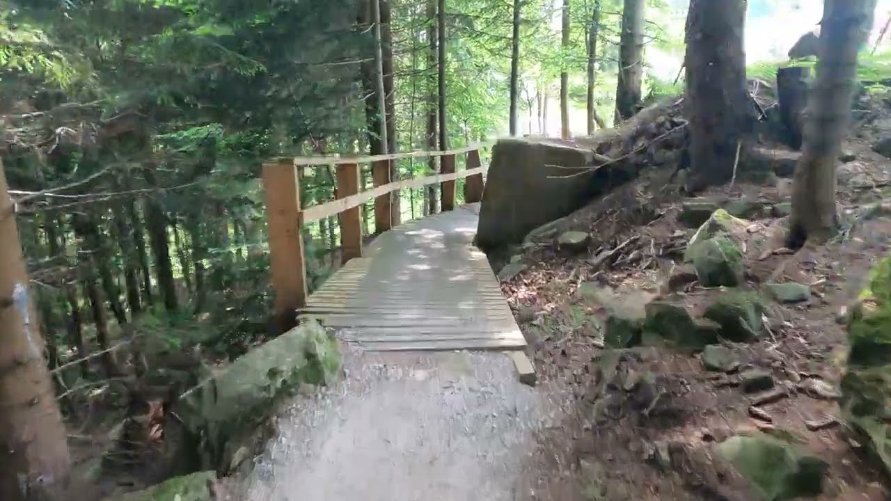 Zjazd super mixu na Kubínskej Hoľi/Bike park Kubínska hoľa #mtb #downhill #specialized #trailbike