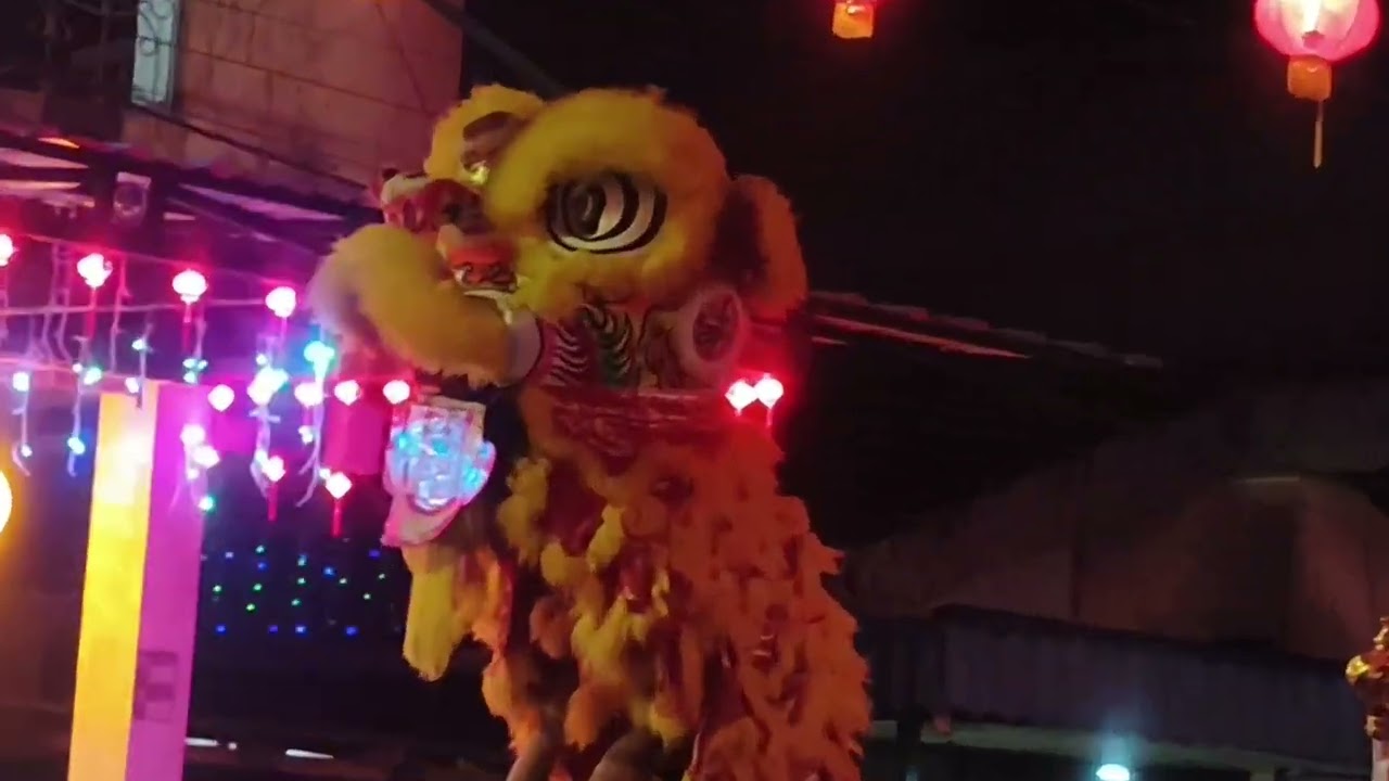 Dokumenter Barongsai malam Imlek 2026 /2577