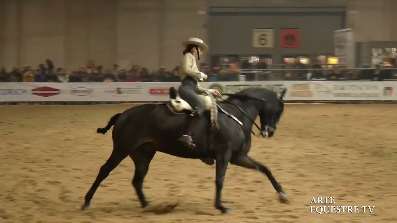 ARTE EQUESTRE TV - SILVIA GOISIS - COPPA DEI MAESTRI - FIERACAVALLI 2024