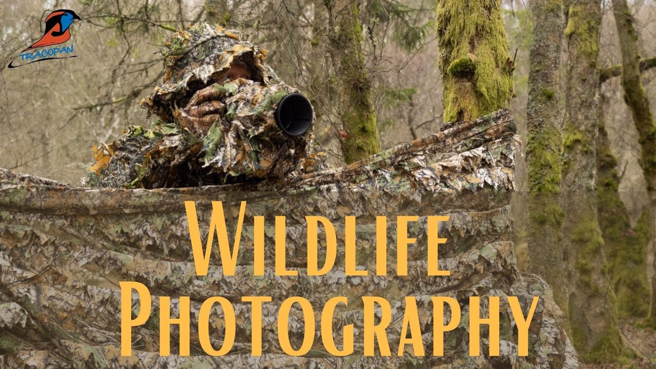 Wildlife Photography - Tragopan 3D Camo Gear